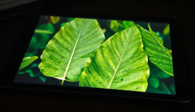 环保型涂料在智能照明系统中的使用条件与维护建议